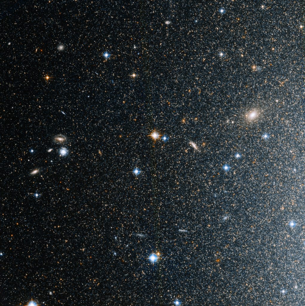 Stars in the outskirts of the dwarf galaxy Caldwell 18 (NGC 185) as well as distant background galaxies (which appear as extended patches of light). Credit: NASA, ESA, and A. Ferguson (University of Edinburgh, Institute for Astronomy); Processing: Gladys Kober (NASA/Catholic University of America)