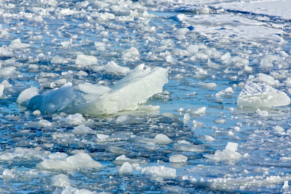 A field of ice. Photo by Mihaela Limberea