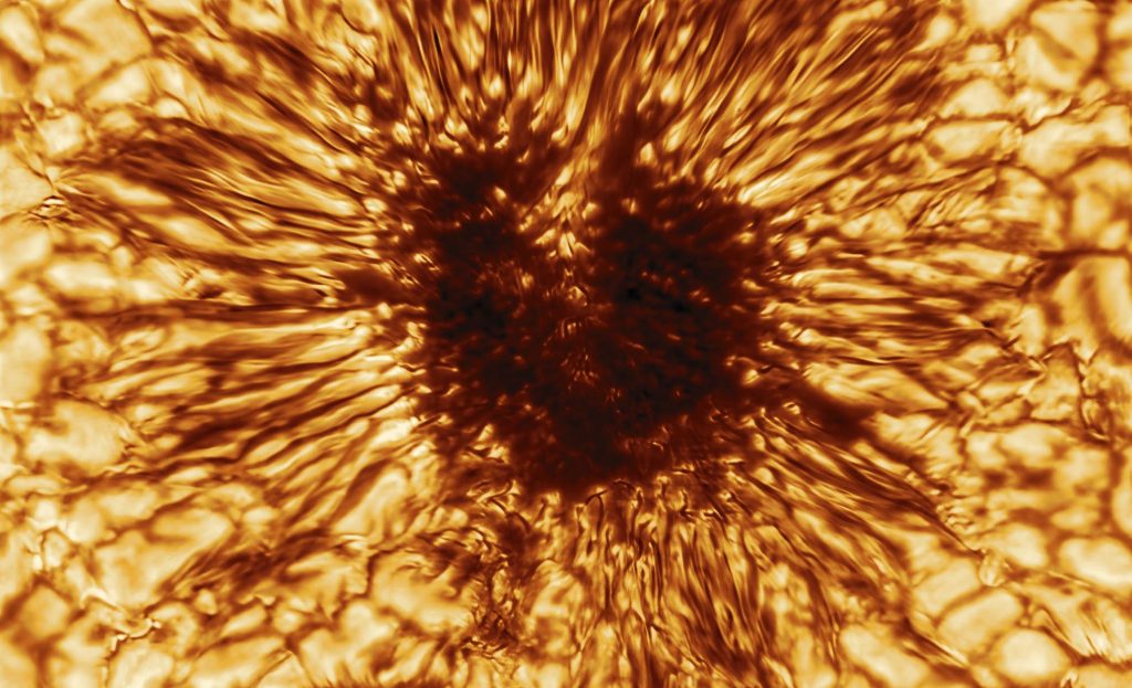 Close up of a sun spot