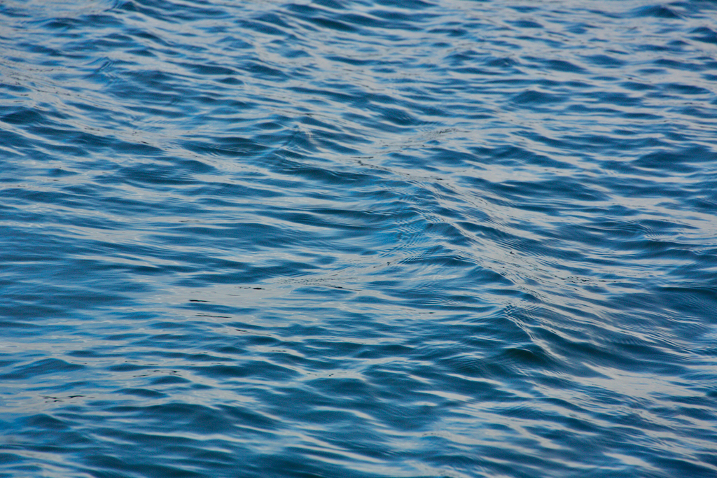 Deep blue sea. Photo by Mihaela Limberea