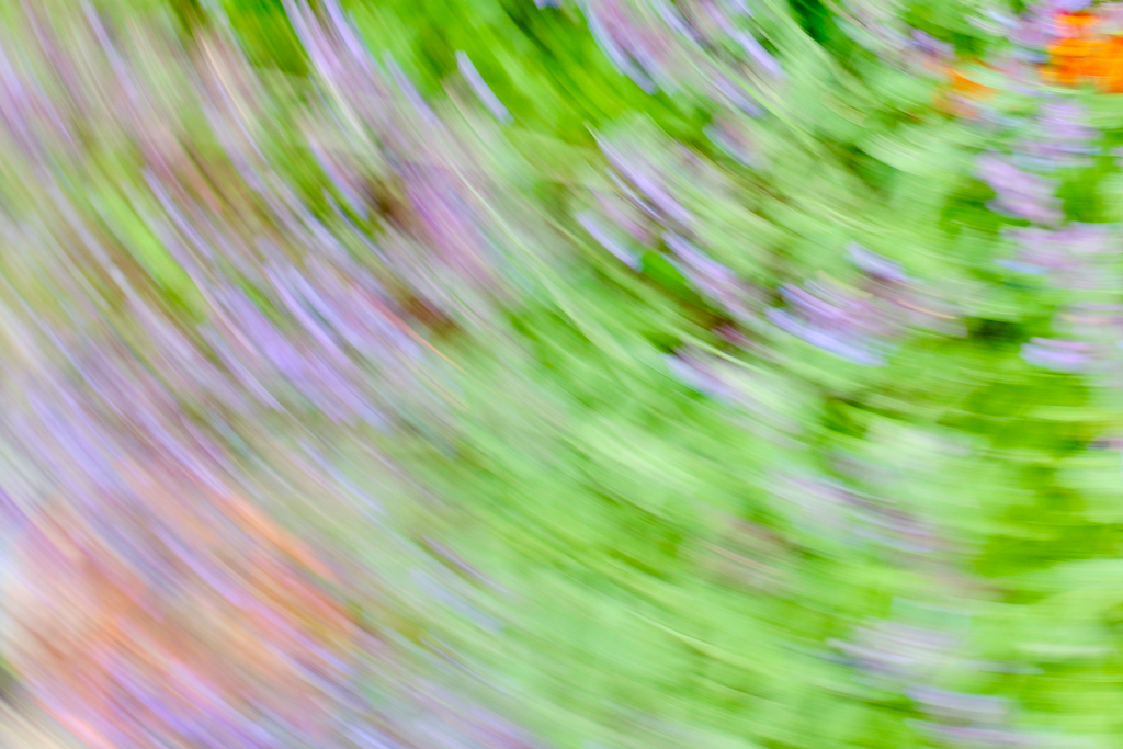 An Intentional Camera Movement (ICM) Photograph by Mihaela Limberea, in tones of green, lavender and orange