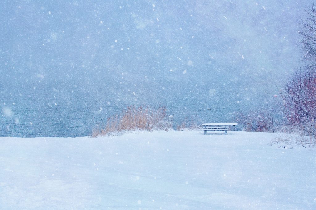 Seashore blanketed in snow. Photo by Mihaela LImberea