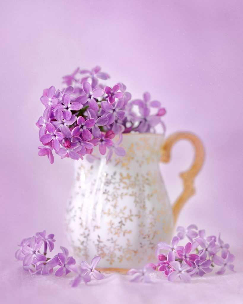 Violet lilac in a vase