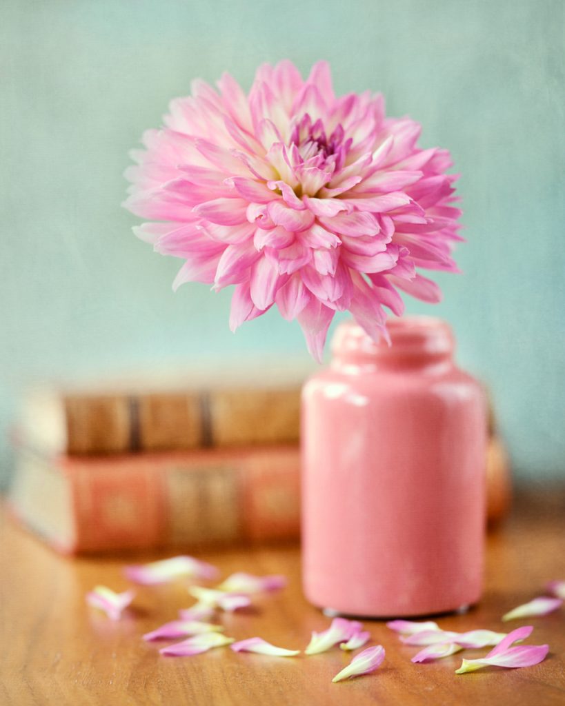 Still life with a pink dahlia in a pink vase and two antique books