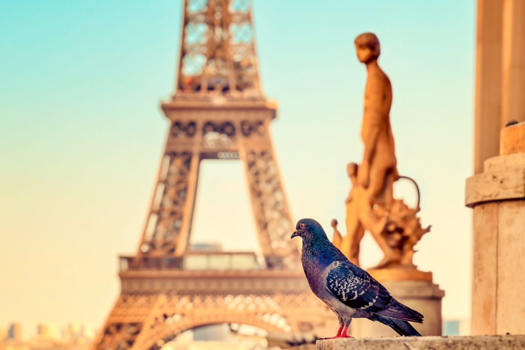 The Eiffel Tower, Paris