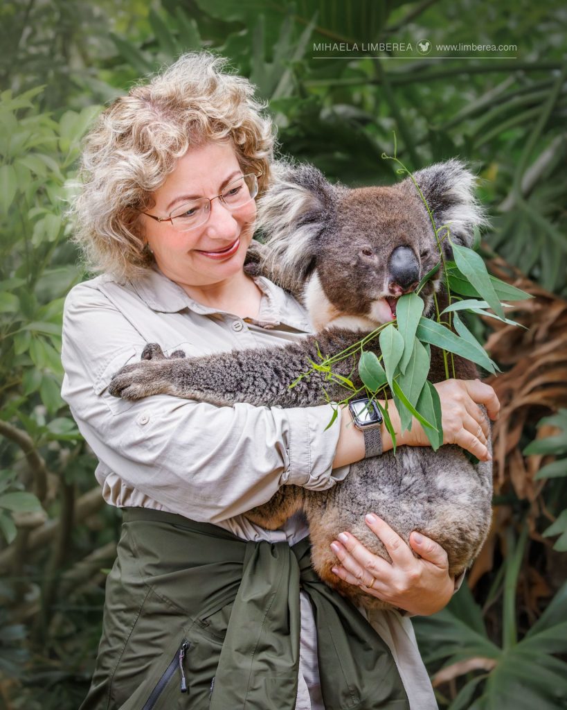 Portrait with koala