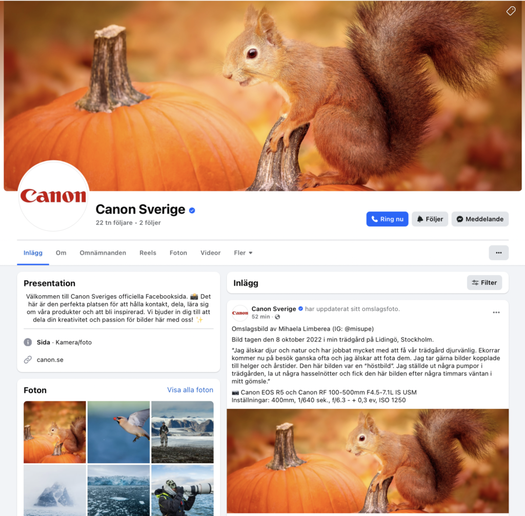 Canon Sweden Facebook Cover, a red squirrel standing on a pumpkin