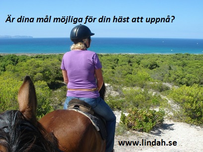 logisk-ridning-mal