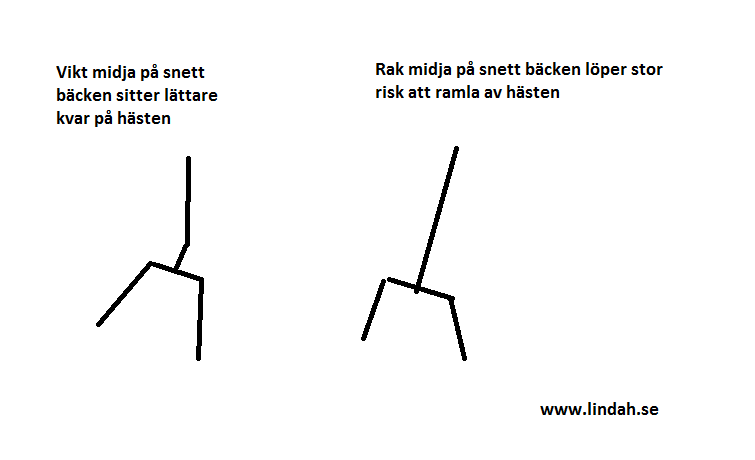vikt midja, logisk ridning