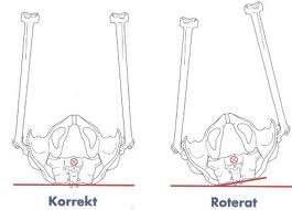 roterat-backen