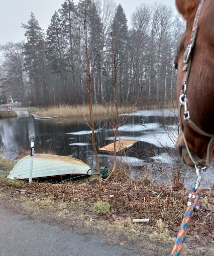 Nytt podavsnitt