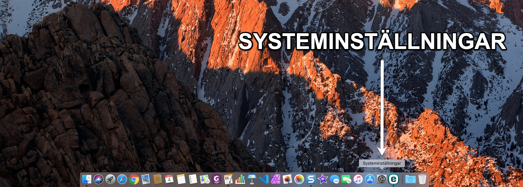 Hitta Systeminställningar i Mac Dock. 