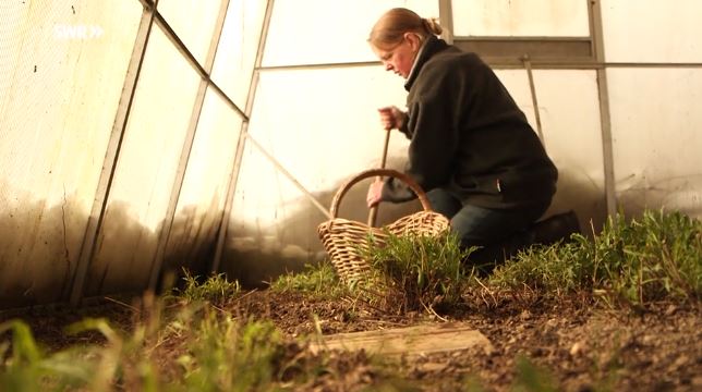 Claudia Hahn im SWR Fernsehen