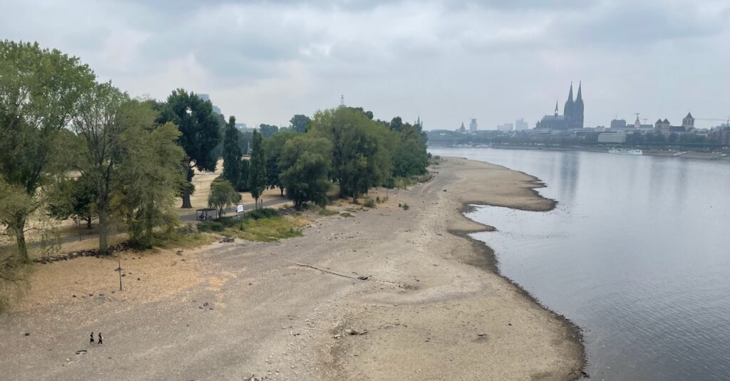 Lindweiler bei Düsseldorf, ruhige Flusslandschaft mit Ufer, Bäumen und Blick auf den Rhein mit Dom im Hintergrund, ideal für Spaziergänge und Naturerlebnisse.