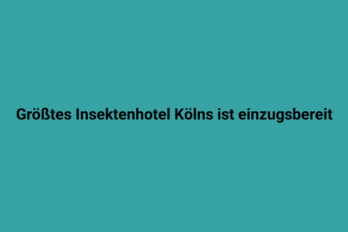 Insektenschutzrollos auf einem Fenster im Lindweiler Stadtteil von Köln, moderne und effiziente Lösung gegen Insekten, stilvoller Sichtschutz, langlebig und witterungsbeständig.
