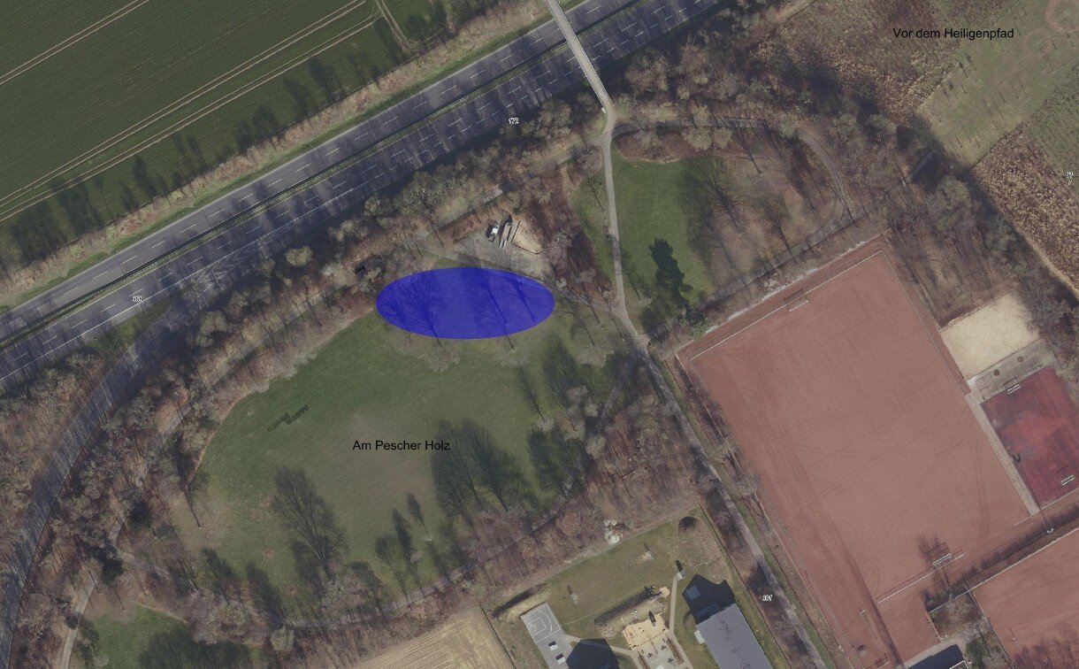 Ein grüner Park mit Bäumen und Wiesen in Lindweiler, Deutschland, aus der Luftaufnahme.