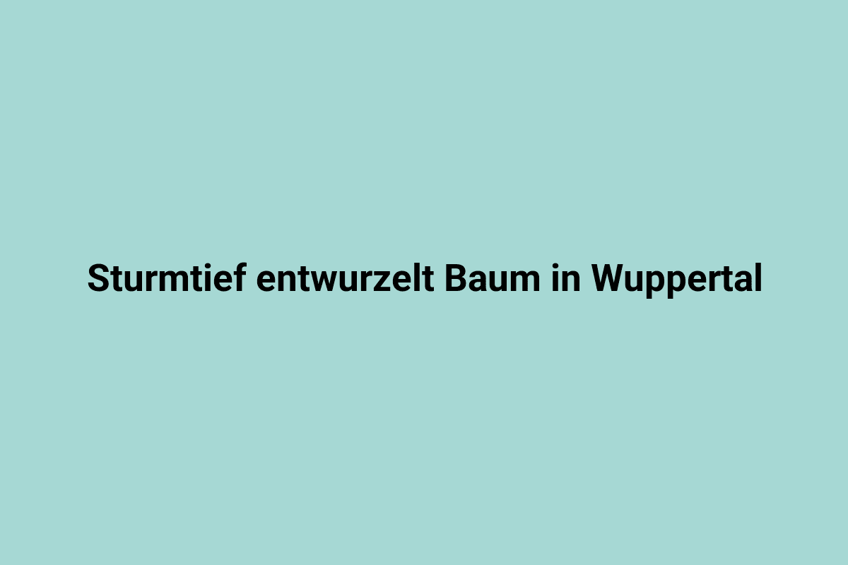 Entwurzelter Baum in Wuppertal nach Sturmflut, zerstörter Baumstumpf im Stadtpark.