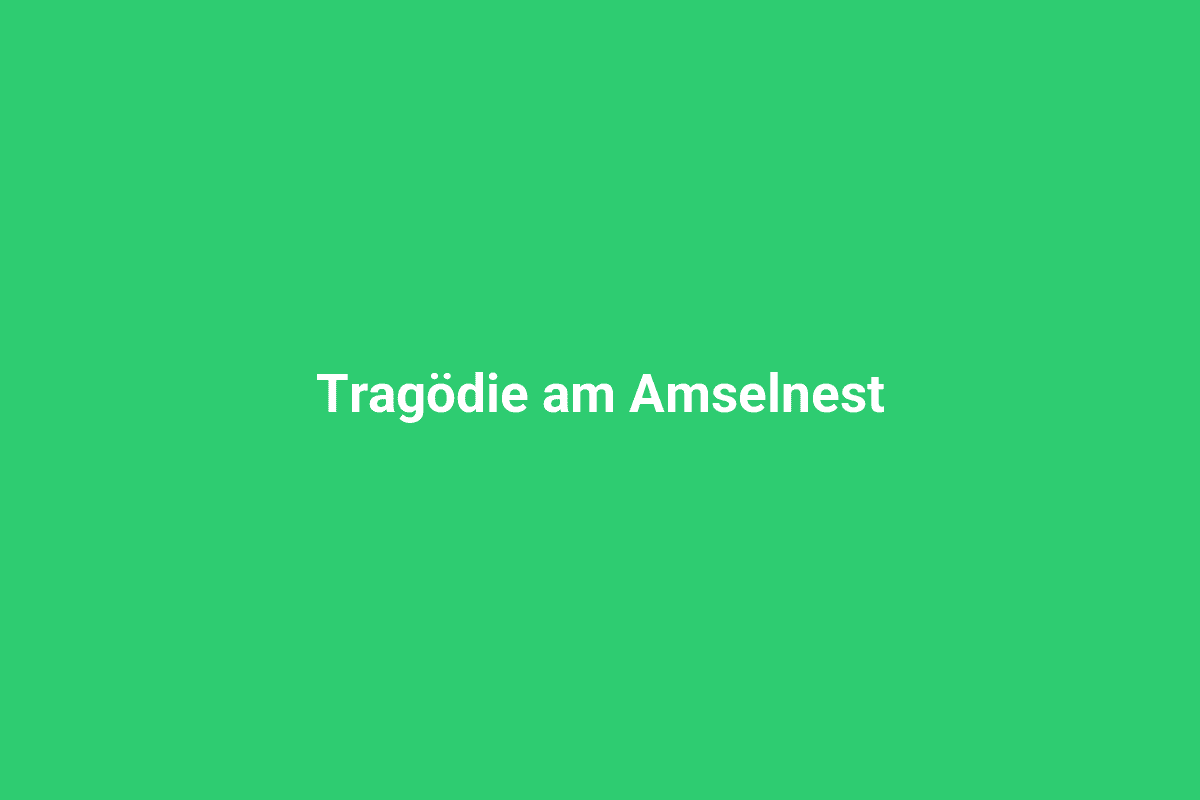 Grabschrift am Amselnest in Lindweiler, Gedenkstein für die Tragödie am Amselnest.