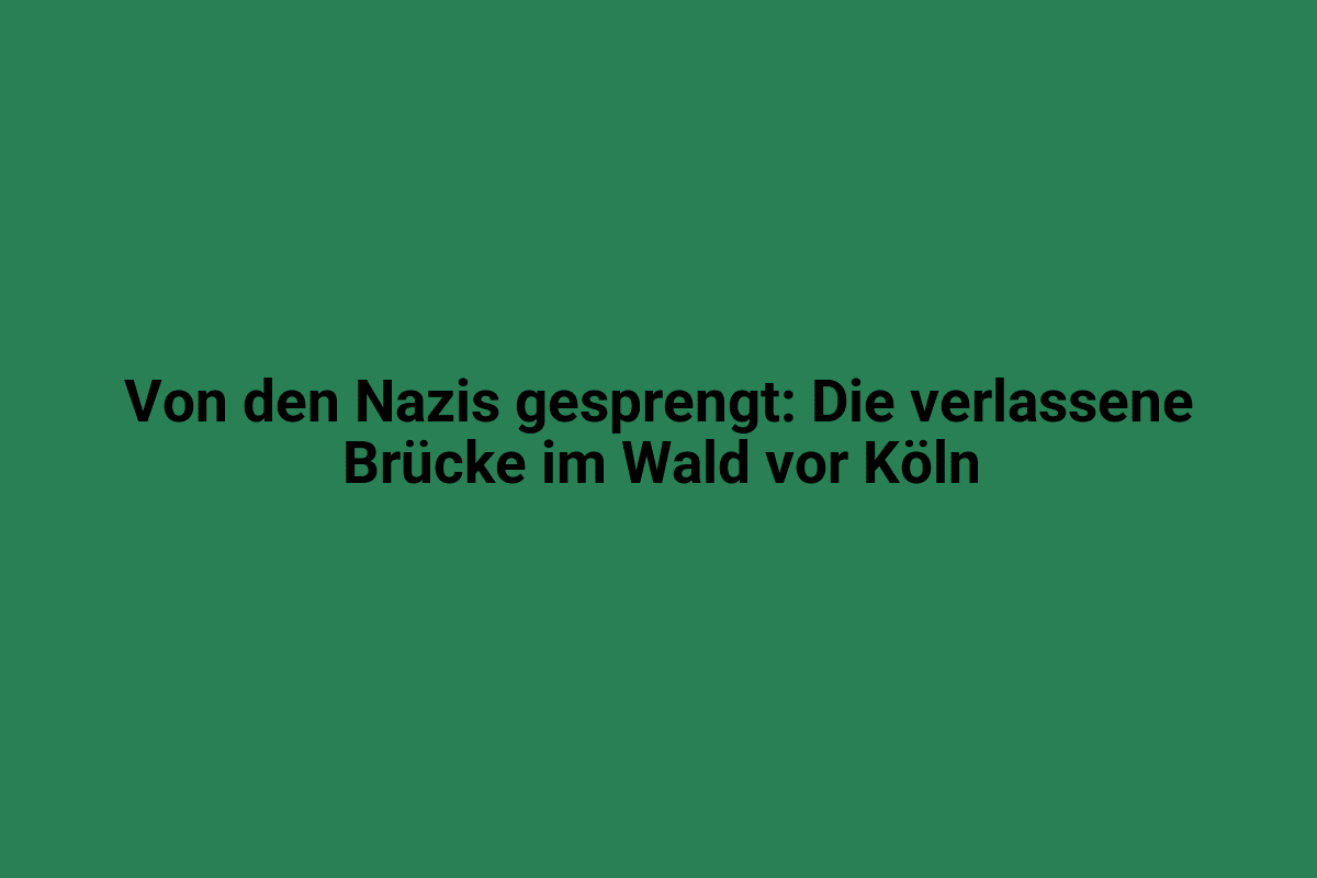 Alte verlassene Brücke im Wald bei Köln, umgeben von Natur und Bäumen.