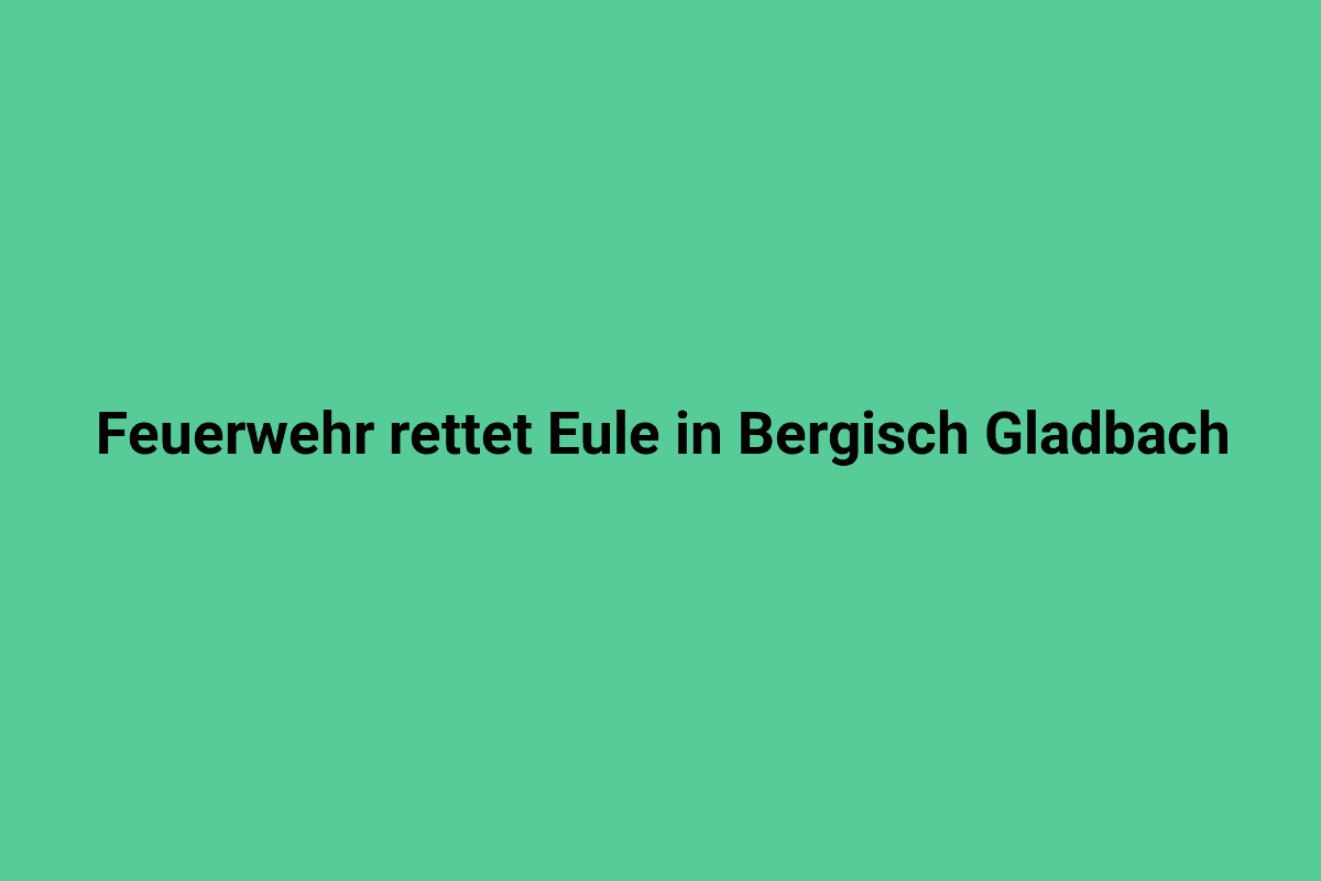 Feuerwehr rettet eine Eule in Bergisch Gladbach.