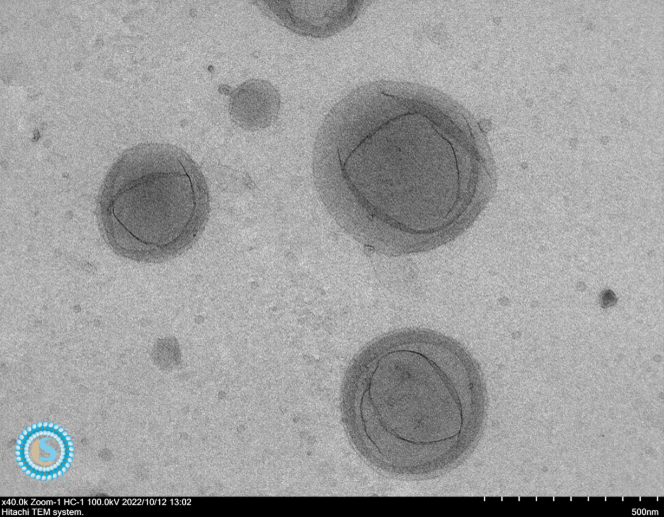 Real liposomes - RWTH Aachen University