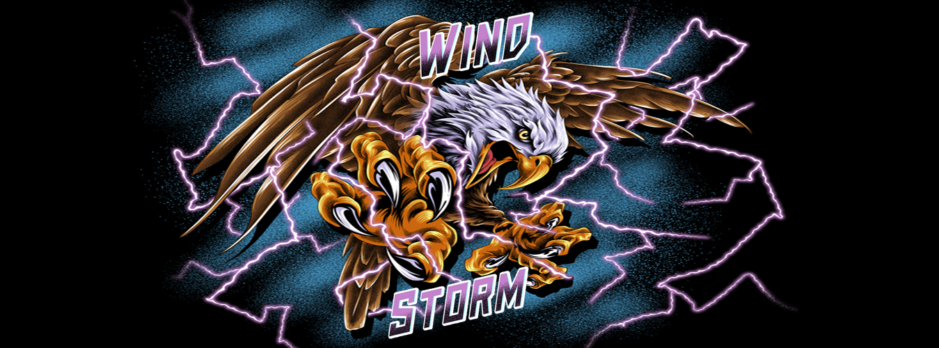 Wind Storm Banner