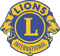 Lions Sports Action