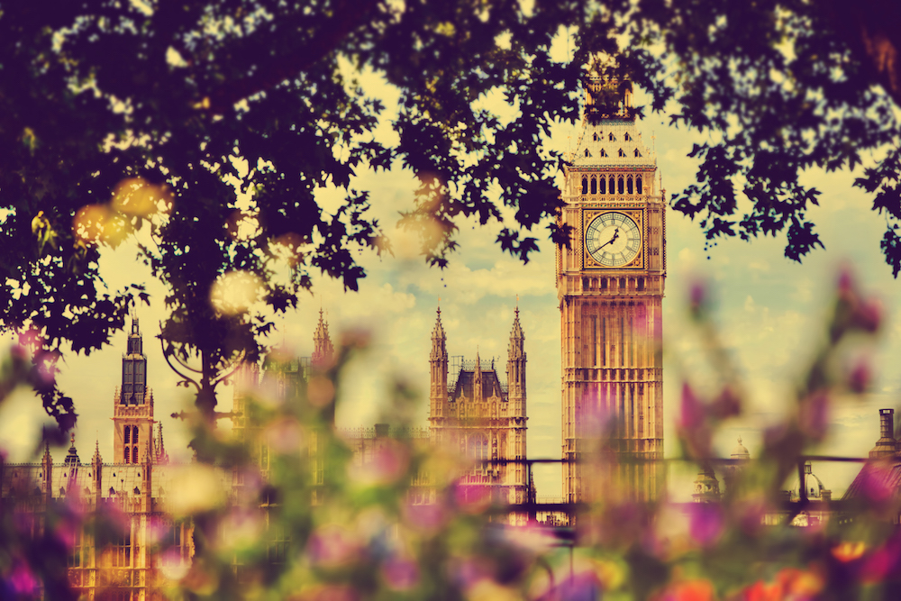 Big Ben,, London UK. View from a public garden with flowers and trees