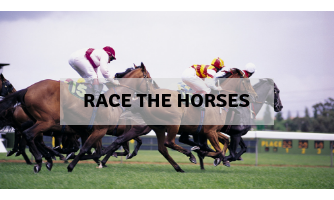 Race the horses activity