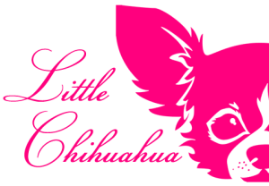 littlechihuahua.be