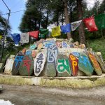 Tibetan Buddhism classes in Spiritual Trip India 2024