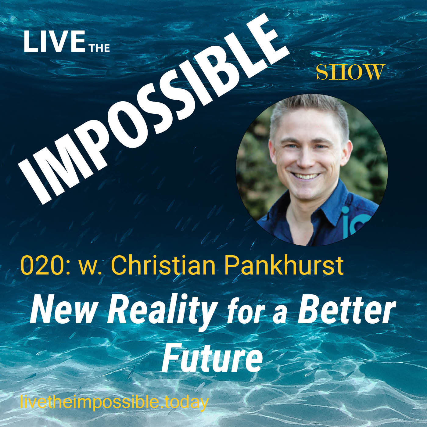 020 A Multidimensional Reality for a better Future  w. Christian Pankhurst
