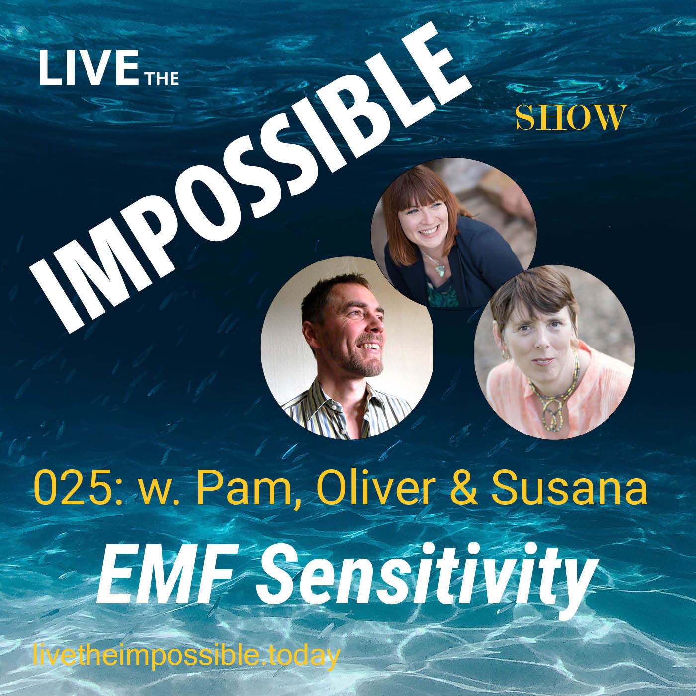 025 EMF sensitivity