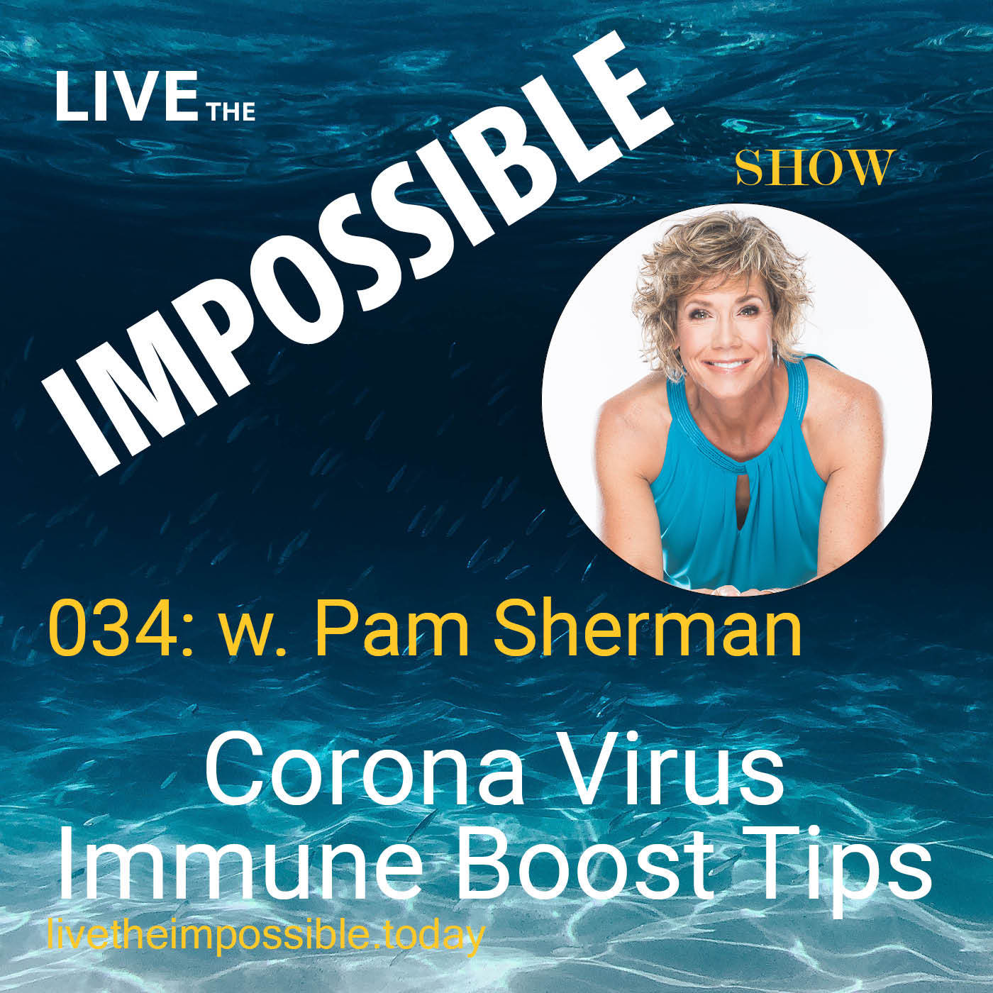 034 Corona Virus Immune Boost Tips w. Pam Sherman