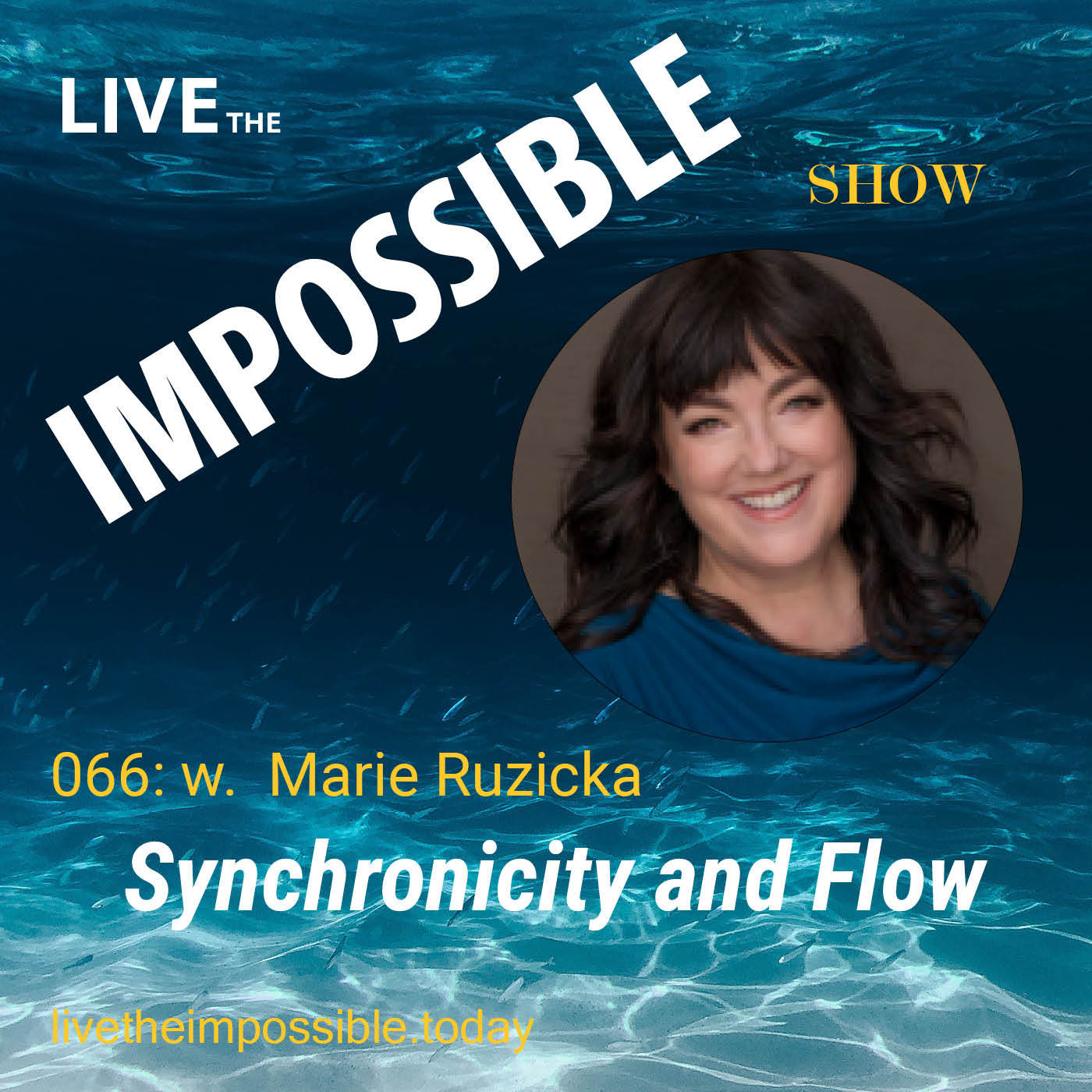 066 Synchronicity and Flow  w. Marie Ruzicka