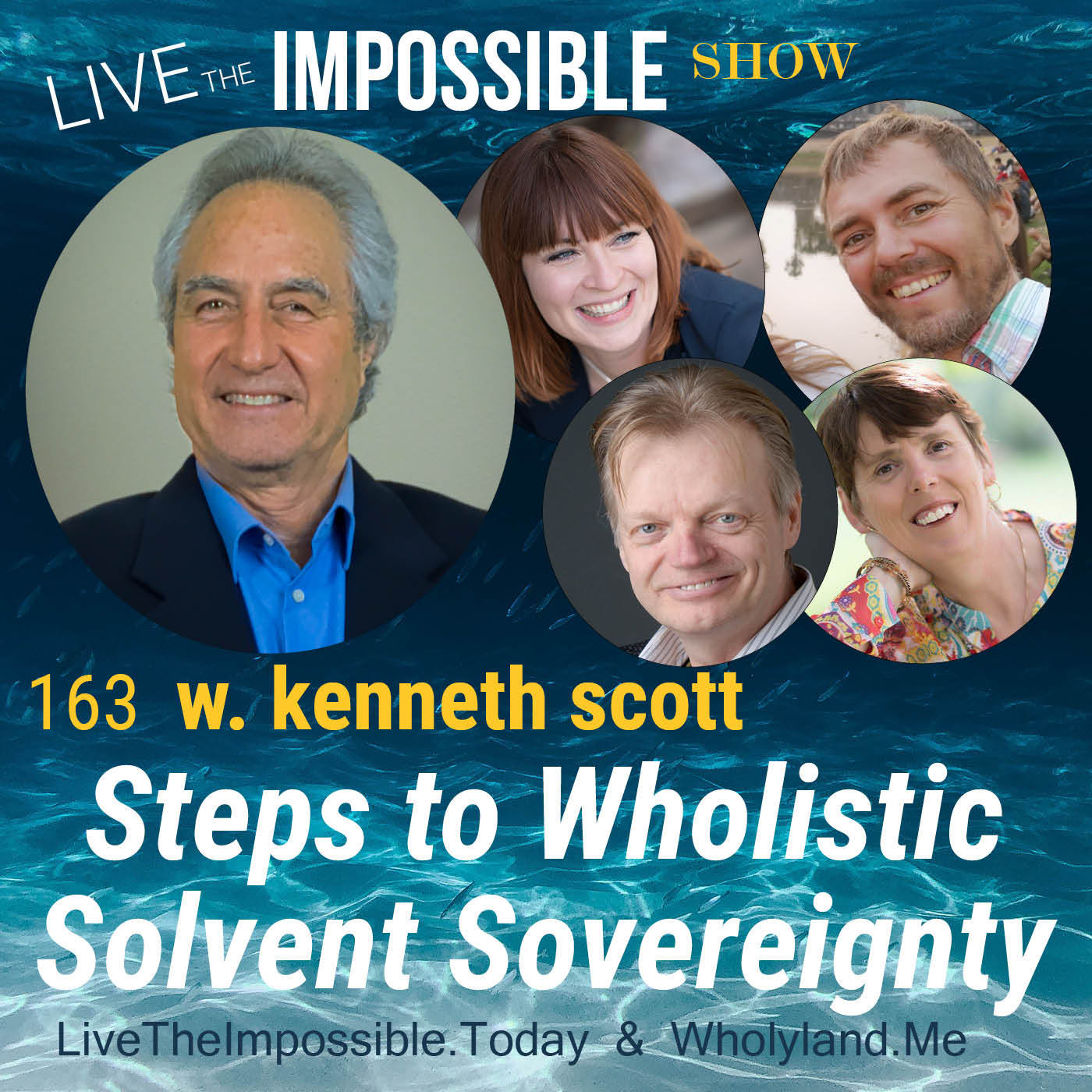 163 Steps to Wholistic Solvent Sovereignty w. kenneth scott