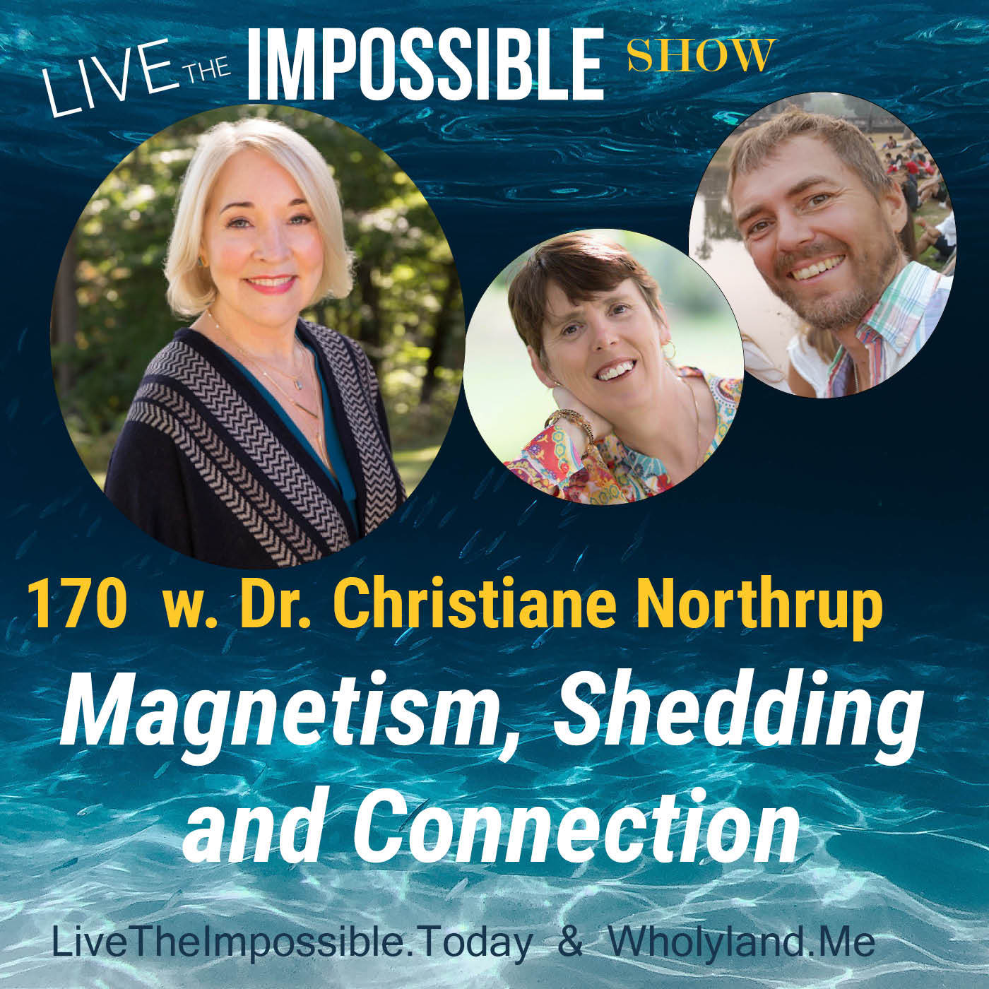 170 Magnetism, Shedding and Connection w. Dr. Christiane Northrup