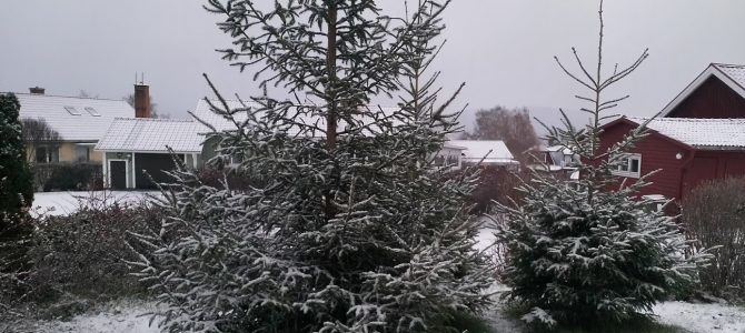 Äntligen, säsongens första snö i Järvsö!!