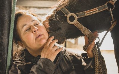 På besøg hos Stutteri Eleni