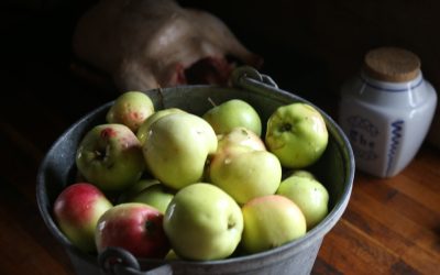Opsamlet æbler