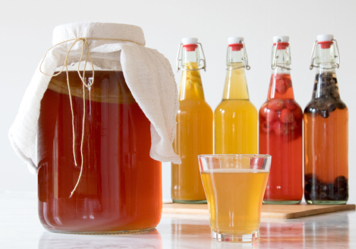 kombucha fermentering