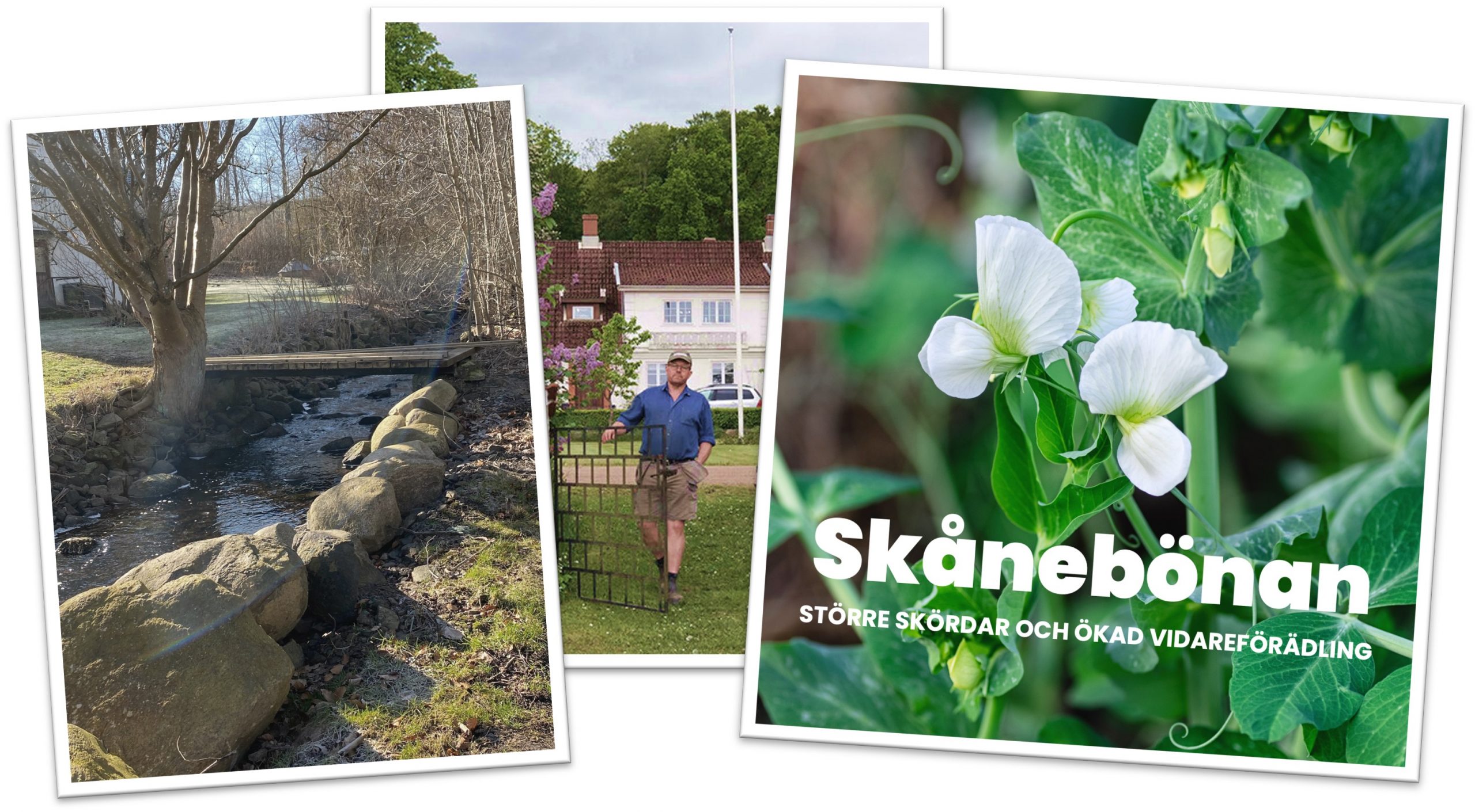 Småskalig lösning för beredning av proteingrödor