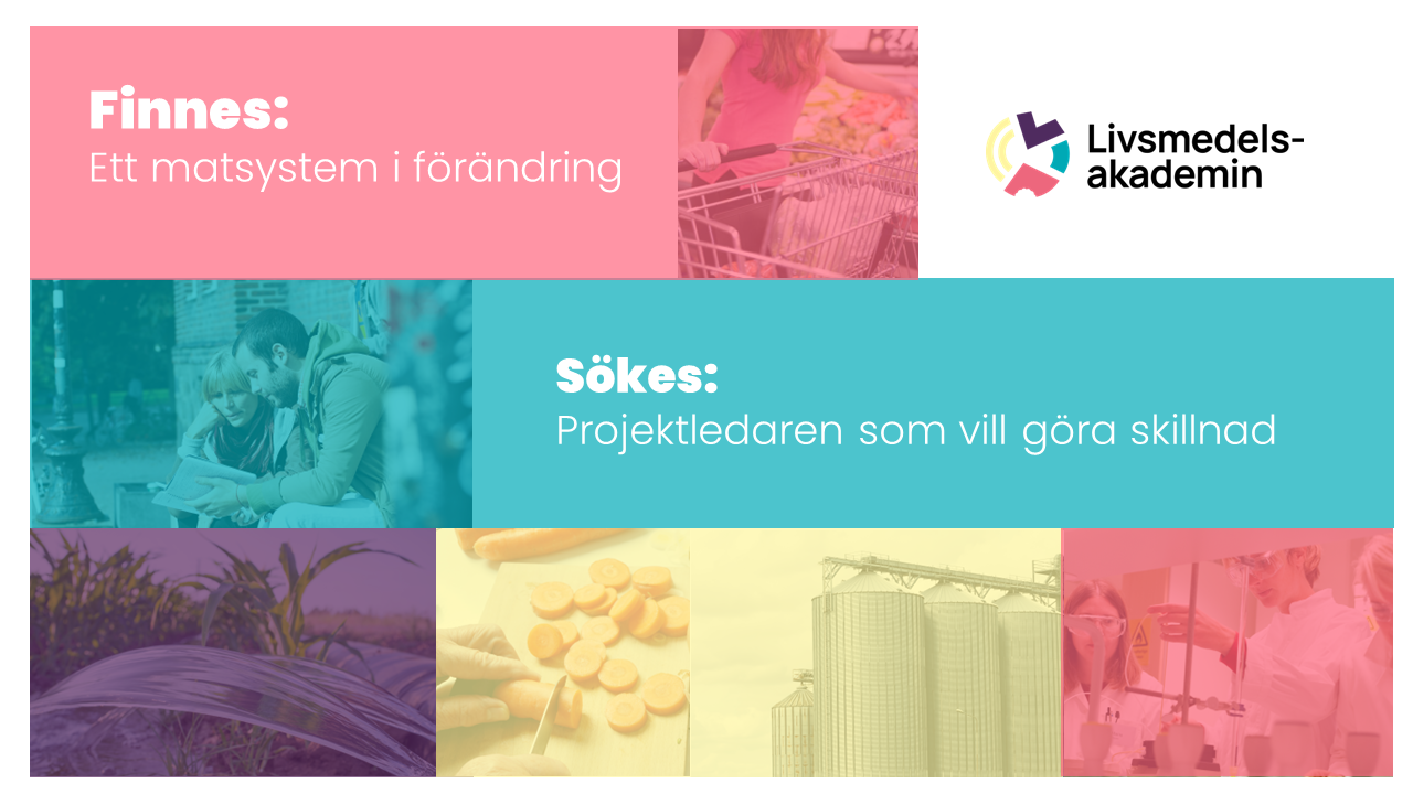 Vi söker: Erfaren, modig & driven projektledare