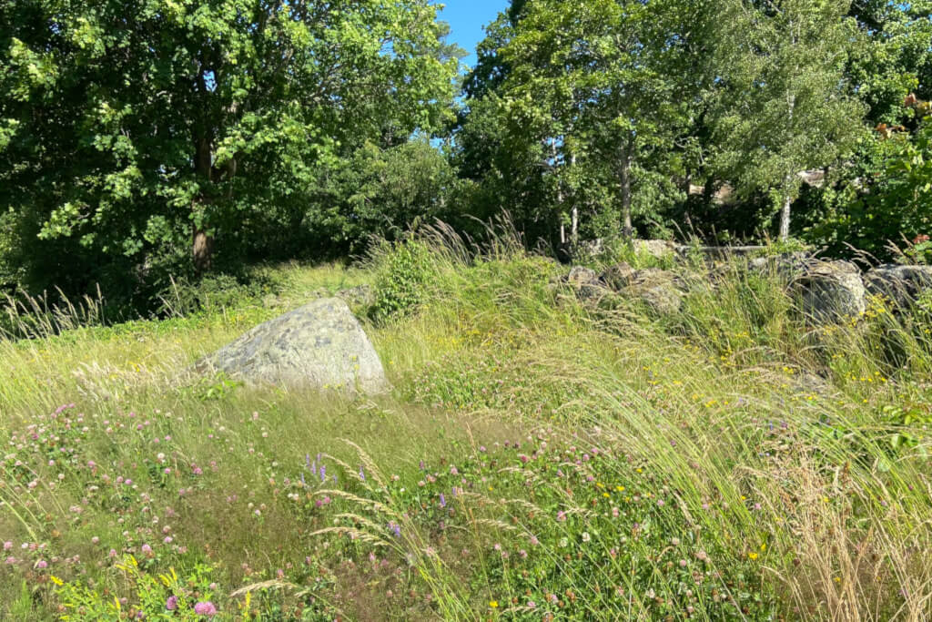 Fascineras av naturen, en oförglömlig upplevelse