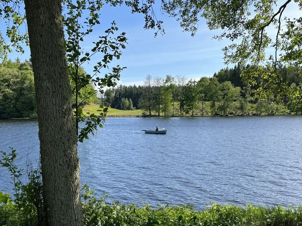 Ruderboot auf dem Ugglebodasjön, eine Erle am linken Ufer. Blick von Brinken, Ljuvadal, Camping in Blekinge.