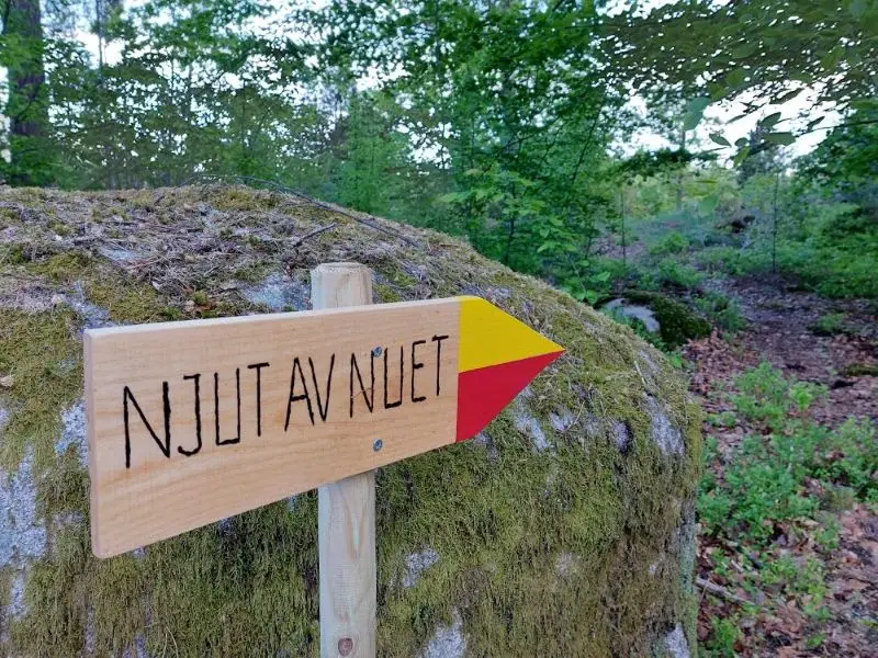 Ein Holzschild mit der Aufschrift „Genieße die Gegenwart“ weist den Weg in den Wald bei Ljuvadal.