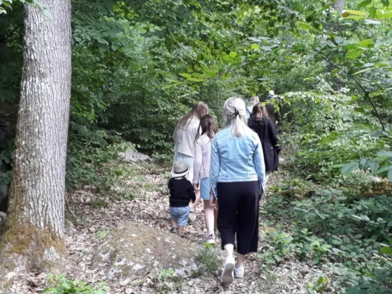 Eine Gruppe von Menschen spaziert im Wald.