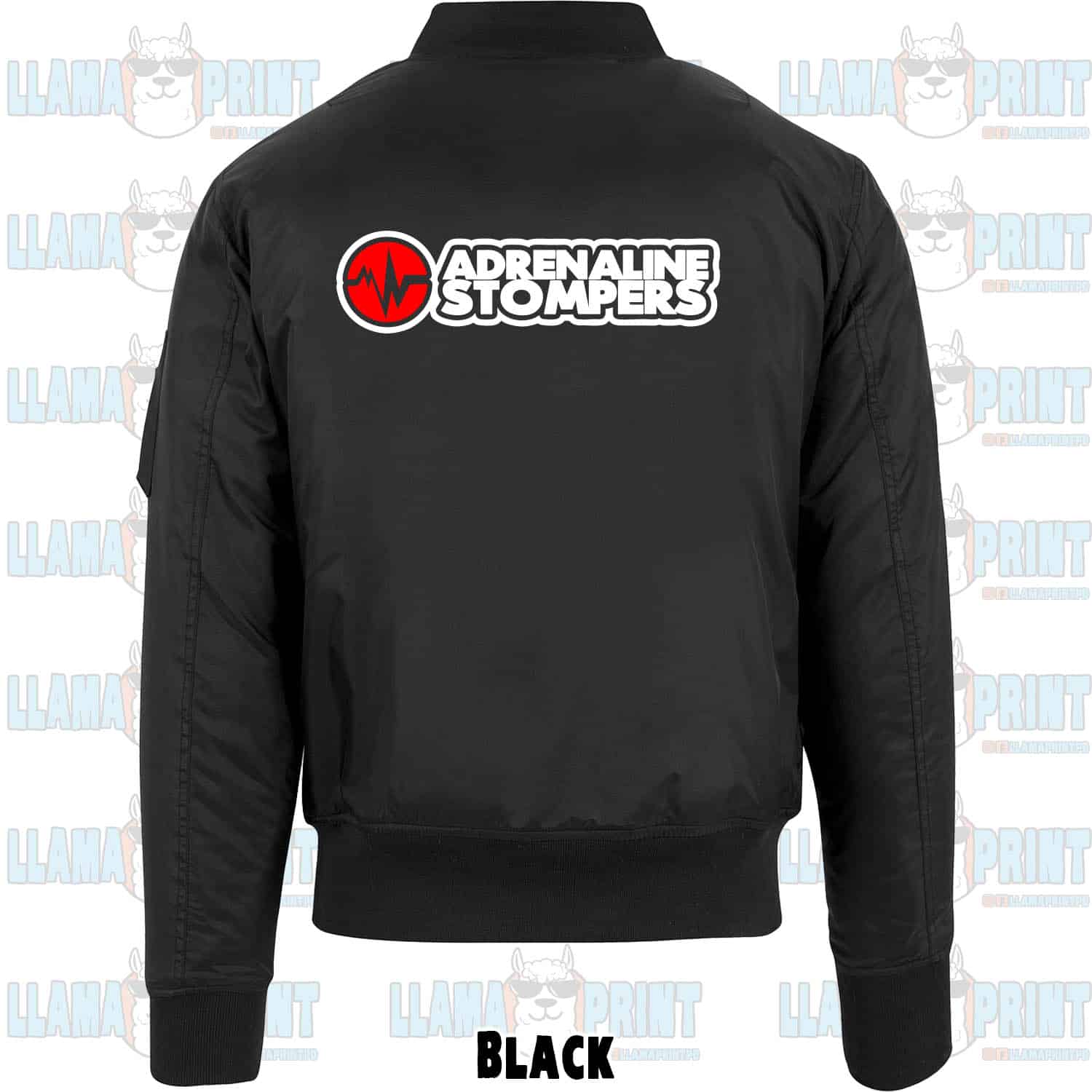 The back view of our AS bomber jacket