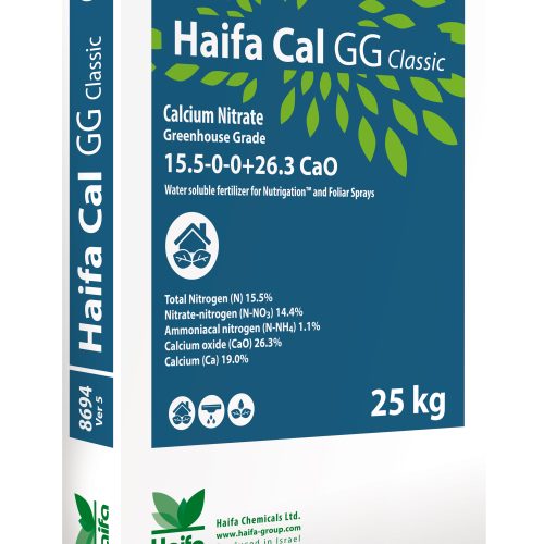 Haifa Cal GG