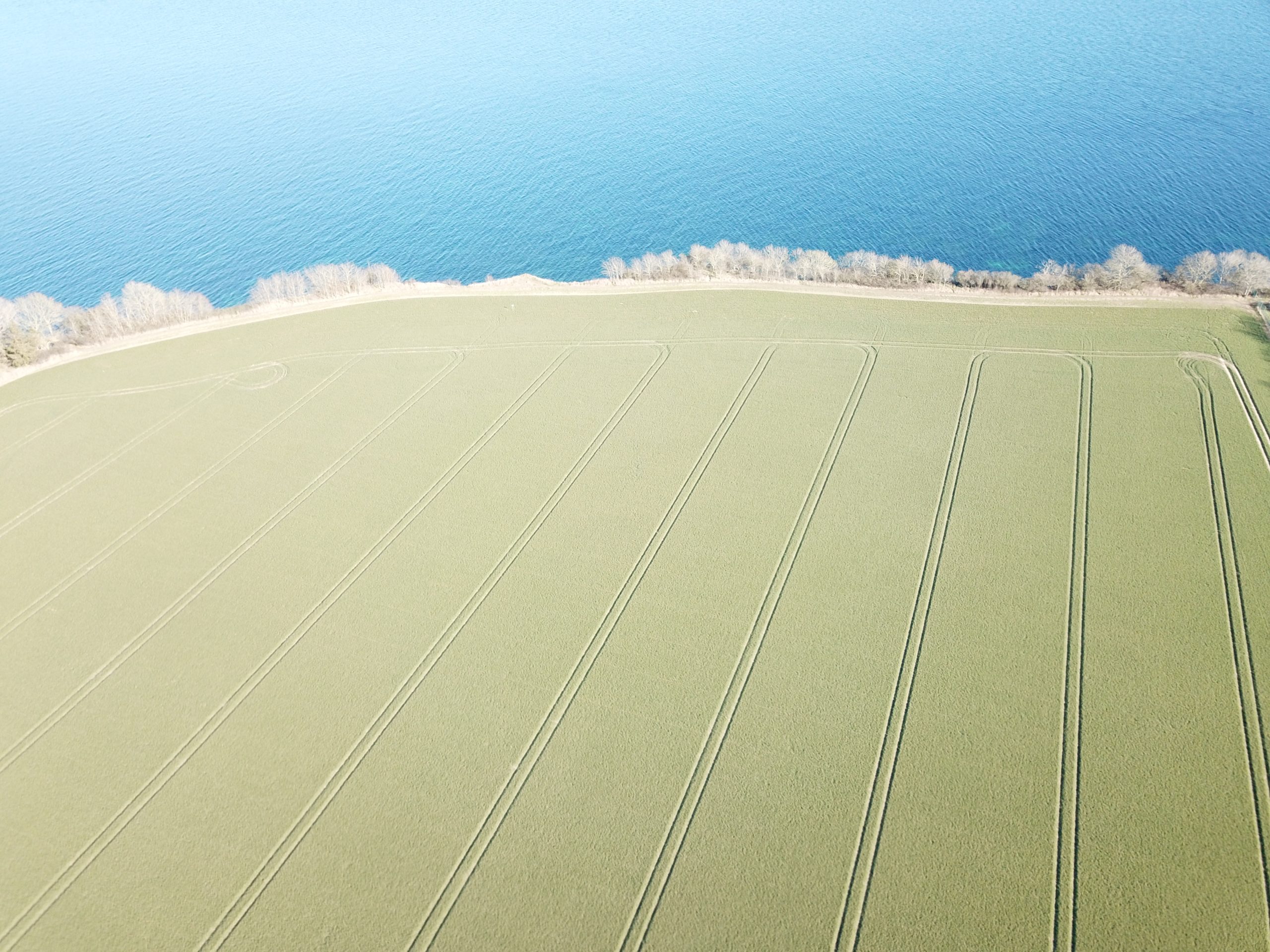 grease field